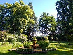 Chateau de la Vernede : le bassin aux rosiers